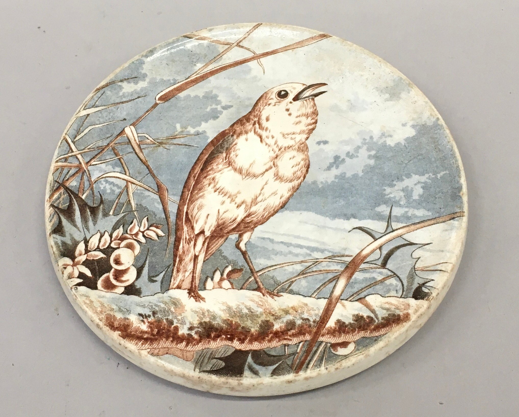 W.T.Copeland and sons circular trivet depicting a bird C1880 15cm diameter