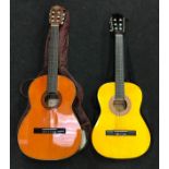 Two acoustic guitars with carry cases.