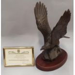 Heredites limited edition eagle by Tom Mackie 406/500 with certificate 32x15.5x21cm.