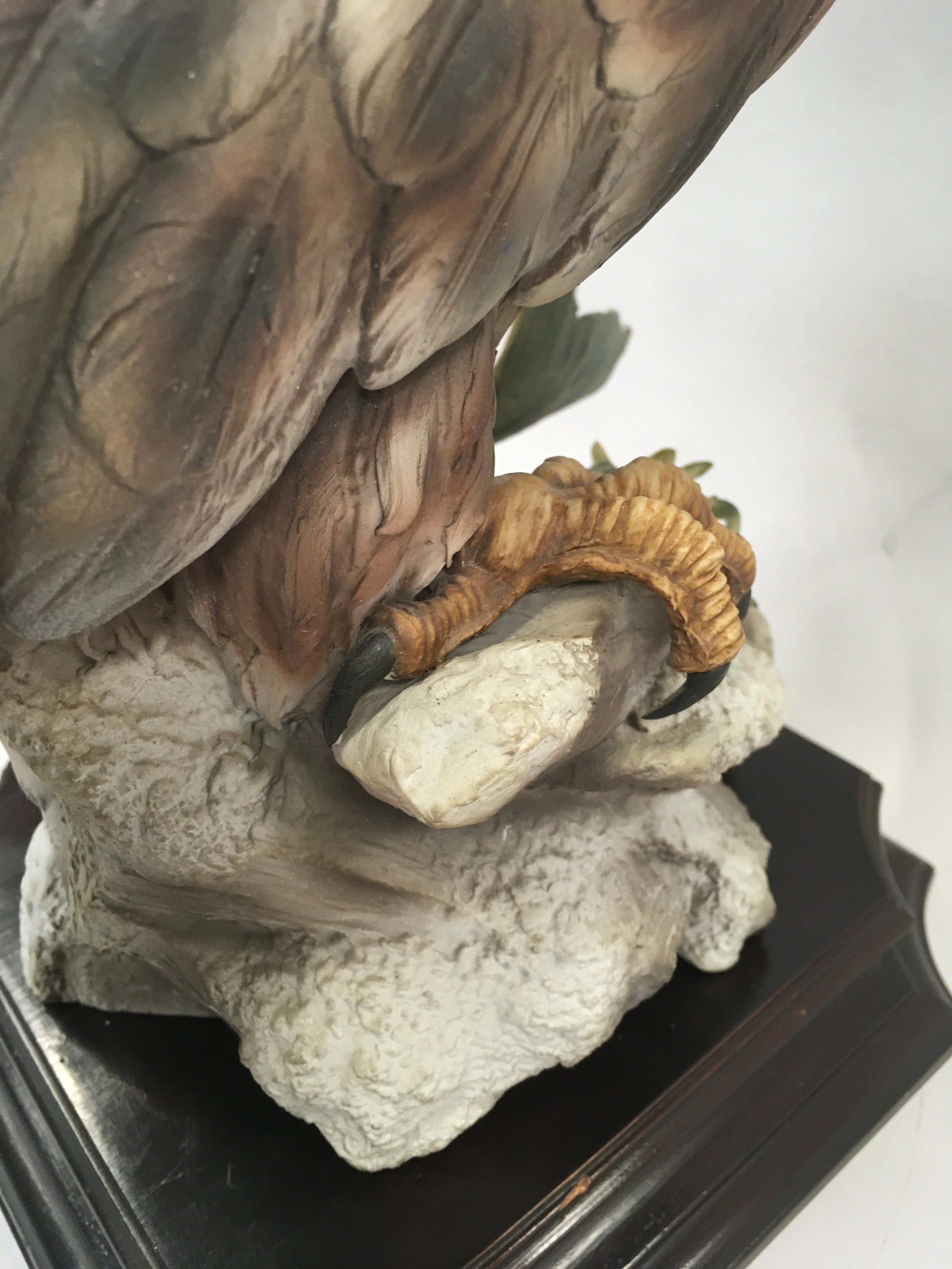 Bird of Prey model of a "Fish Hawk" on a wooden plinth - Bild 5 aus 6