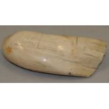 A Scrimshaw whale tooth.