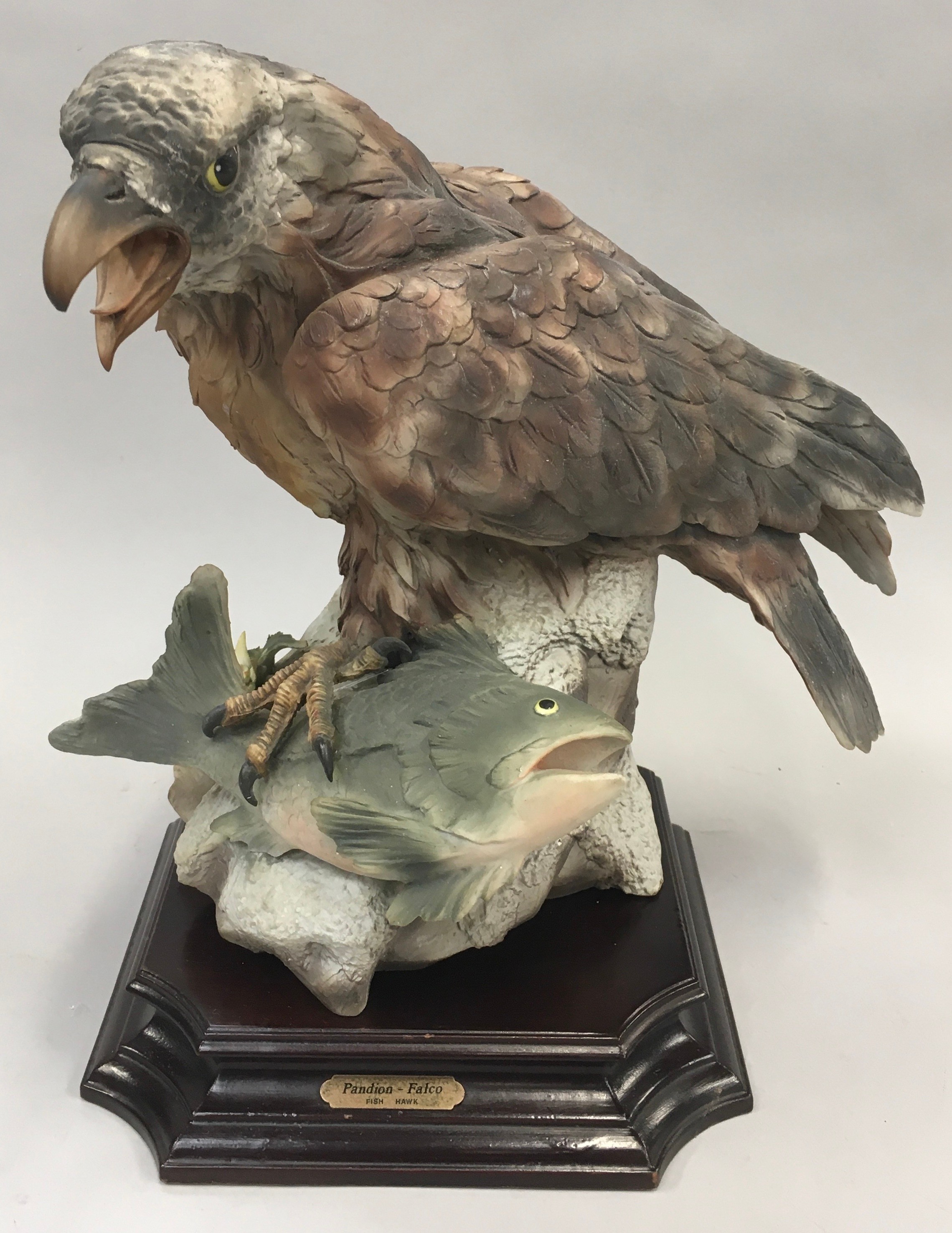 Bird of Prey model of a "Fish Hawk" on a wooden plinth