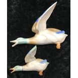 Poole Pottery large flying duck 812/3 together with one smaller (2)