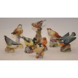 Quantity of collectible Royal Worcester bird figures (8)