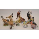 Quantity of collectible Royal Worcester bird figures (8)