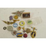 A small collection of enamel badges etc