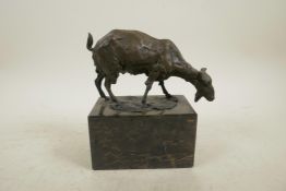 A bronze of a billy goat, indistinctly signed, 5½" wide x 6" high