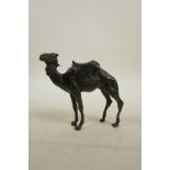 A bronze camel, 5" high