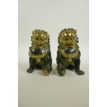 A pair of Chinese filled bronze temple lions with gilt features, 5½" high