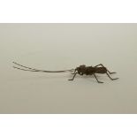 A Japanese Jizai style bronzed metal cricket, with articulated limbs and antennae, 6½" long