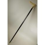 A carved bone handled walking stick with a brass cuff, 36½" long