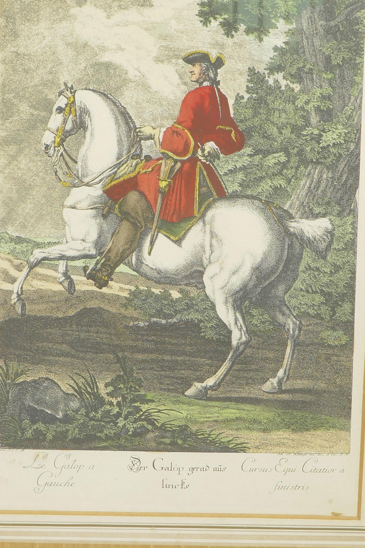 After Johann Elias Ridinger, a pair of hand coloured engravings depicting military gentlemen on - Image 3 of 5