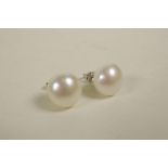 A pair of large cultured pearl stud earrings on silver posts