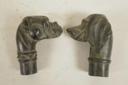 Two bronze walking stick handles cast as dogs' heads, 3" long