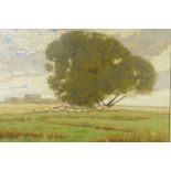 Reginald Wilkinson (British fl. C20th), Camber Castle with sheep grazing under a tree, signed