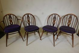 A set of four Ercol stained beech dining chairs, one carver, 32" high