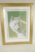 Stephen Gayford, limited edition colour print, 'White Wolf', signed in pencil and numbered 94/