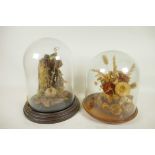 Two glass display domes on wooden bases containing dried flowers and mosses etc, largest 7"