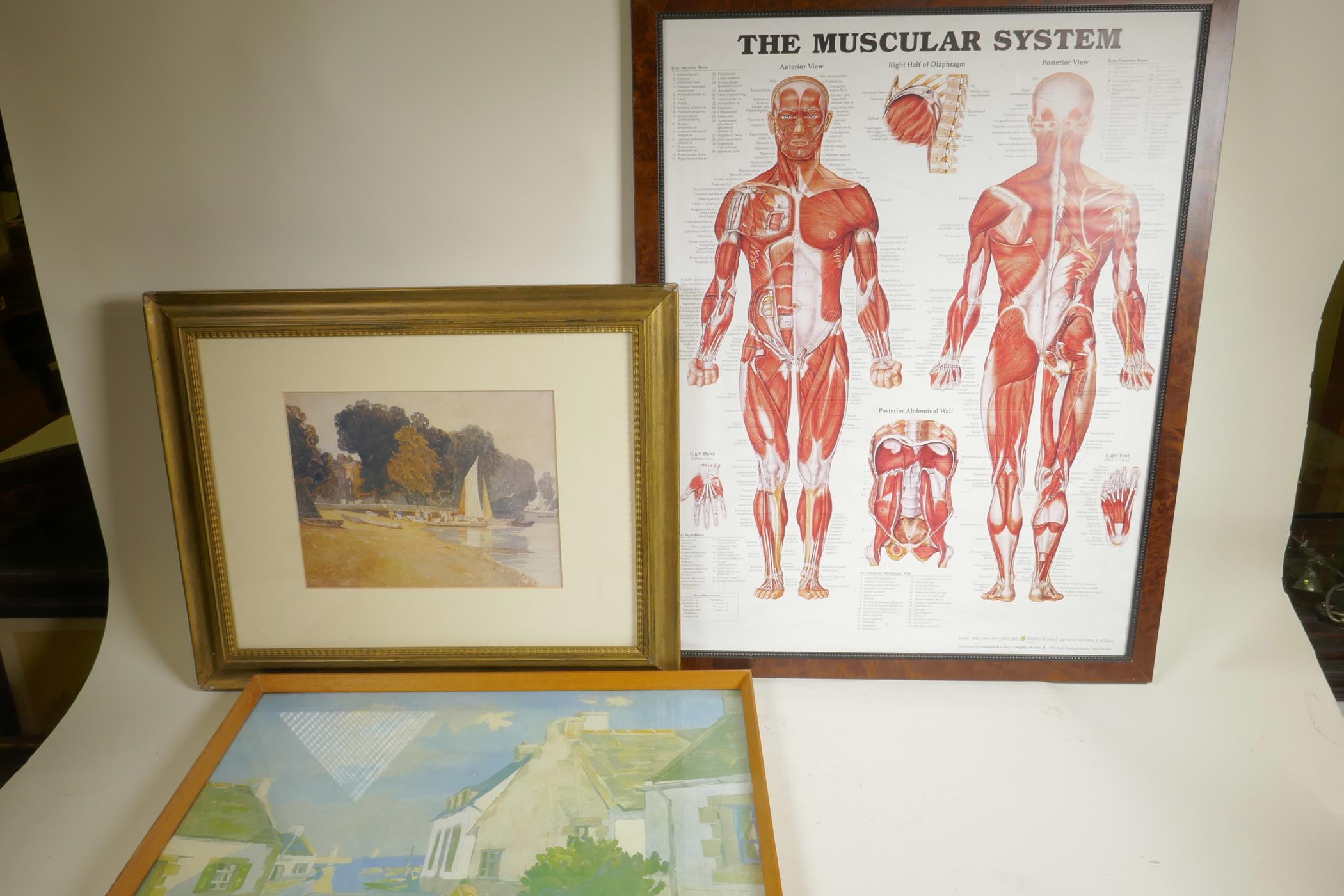 A colour print of figures on a riverbank, 11" x 8½", together with a print of the human muscular