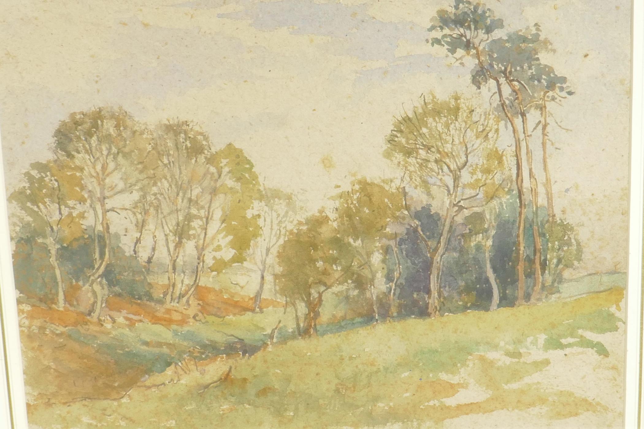 A watercolour of a woodland grove (possibly Australian), 15" x 11" - Image 2 of 3