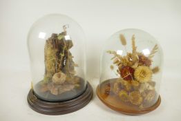 Two glass display domes on wooden bases containing dried flowers and mosses etc, largest 7"