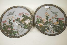 A pair of Japanese Meiji (1868-1912) cloisonne chargers, decorated with cranes and blossom, 12"