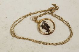 A small 9ct gold framed dried flower pendant on a 9ct gold chain, gross 3.1 grams