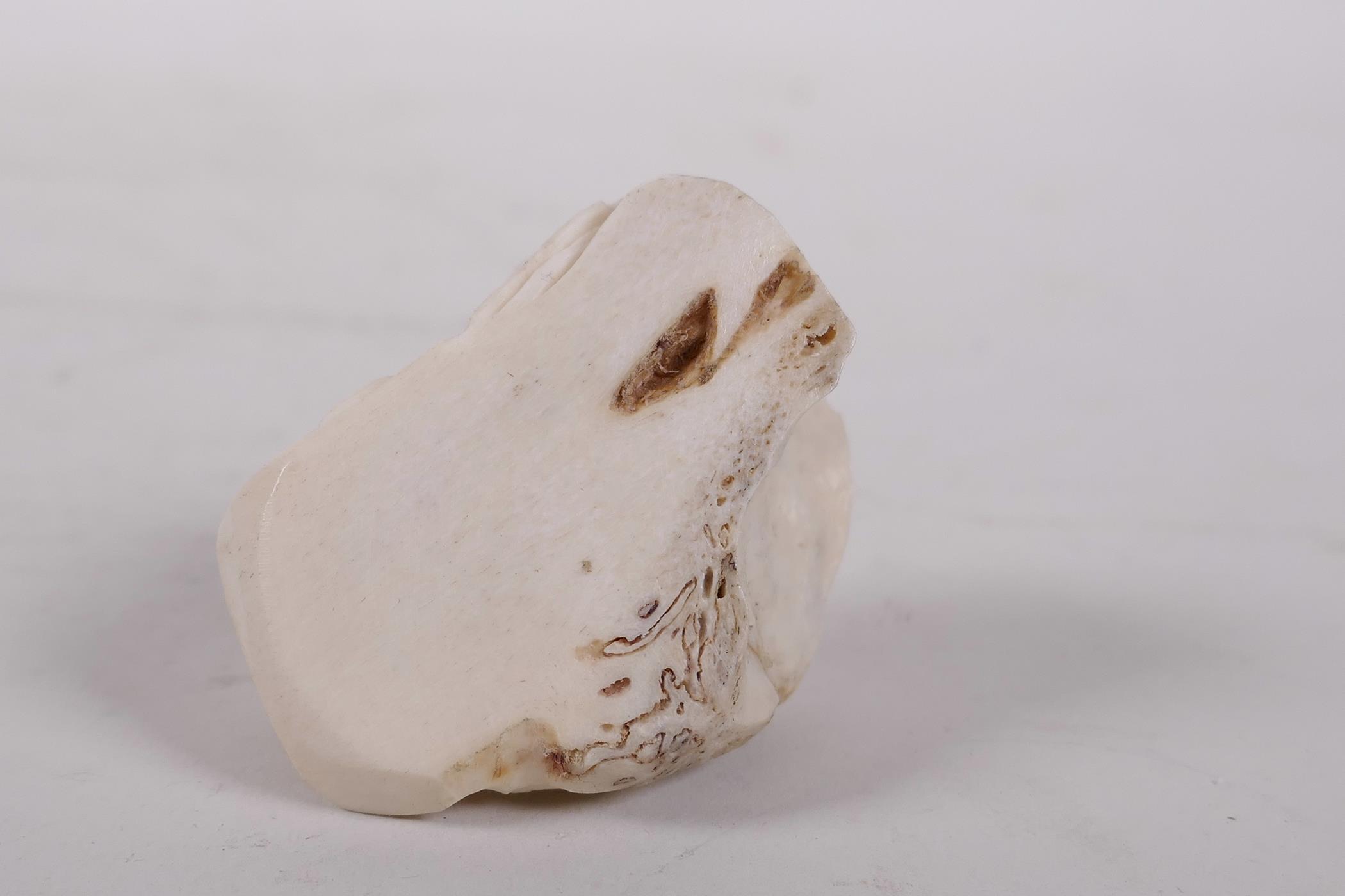 A carved bone netsuke in the form of a toad, 2" long - Image 5 of 7