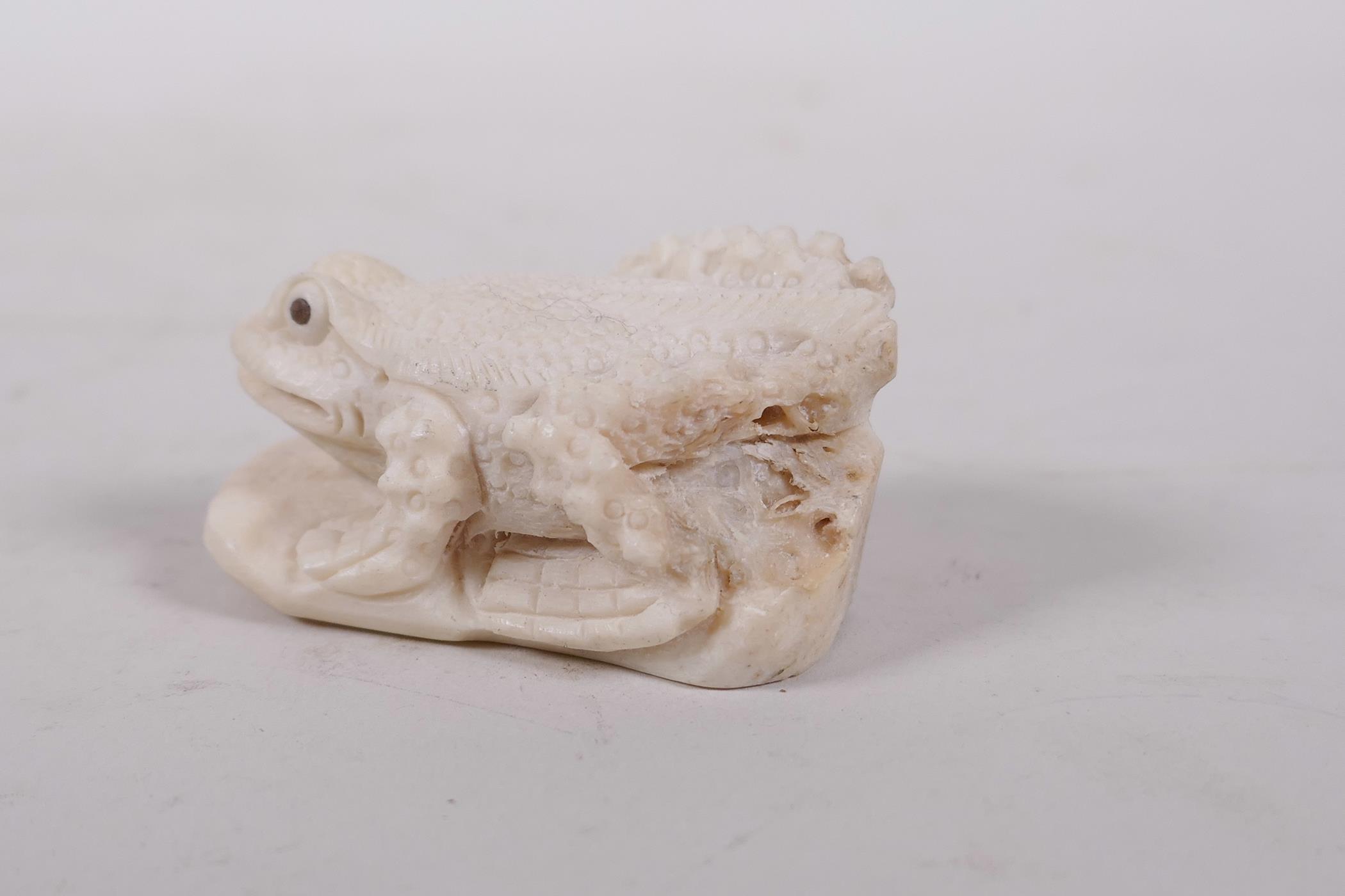 A carved bone netsuke in the form of a toad, 2" long - Image 4 of 7