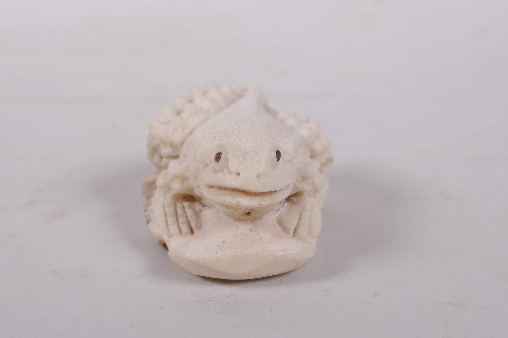 A carved bone netsuke in the form of a toad, 2" long - Image 6 of 7