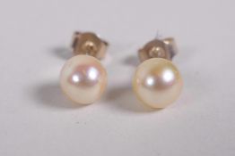 A pair of freshwater pearl stud earrings on silver posts