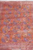 An Afghan rust coloured wool carpet with a repeating blue and rust coloured medallion design, 97"