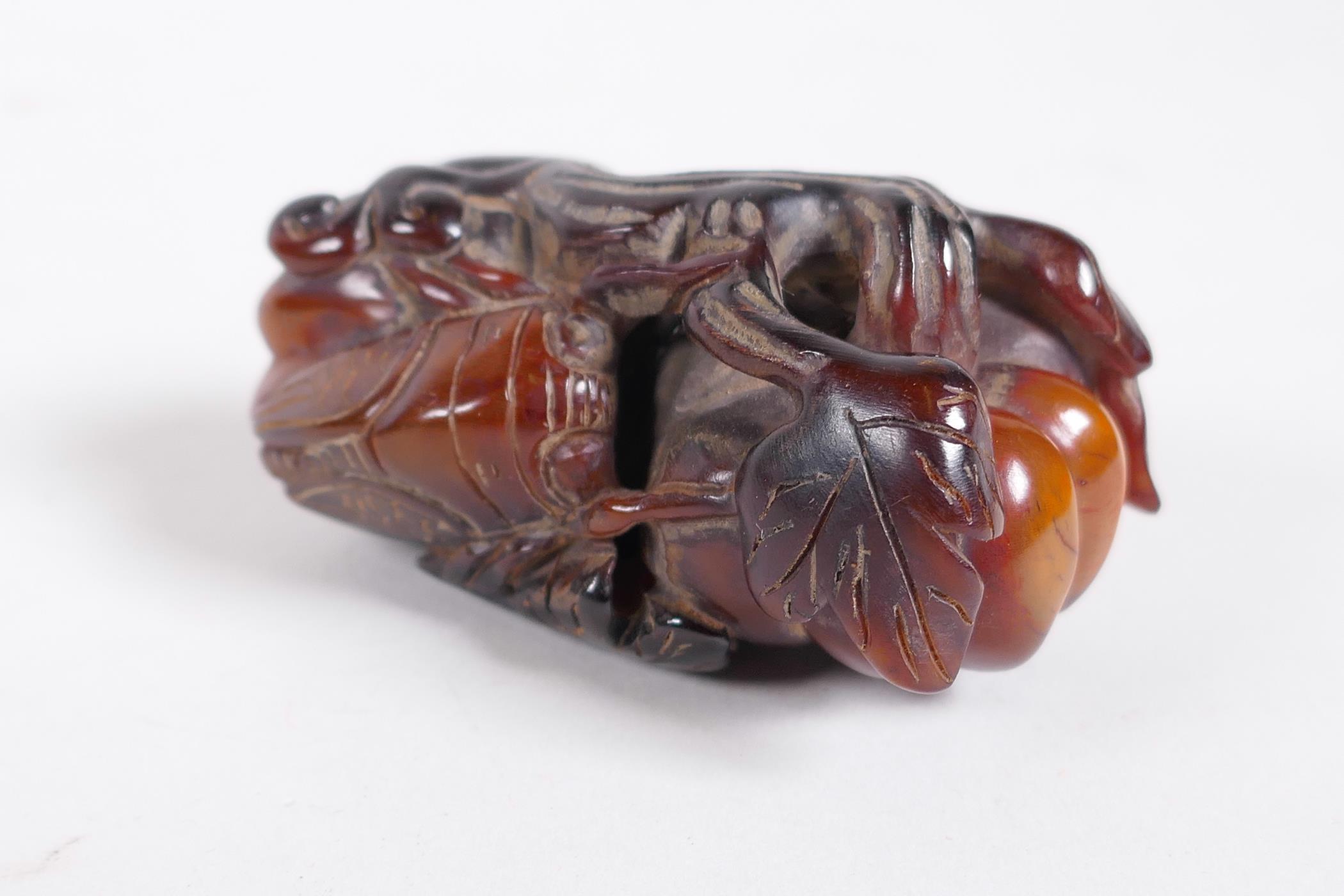 A Chinese carved horn ornament in the form of a cicada on a gourd, 2½" long