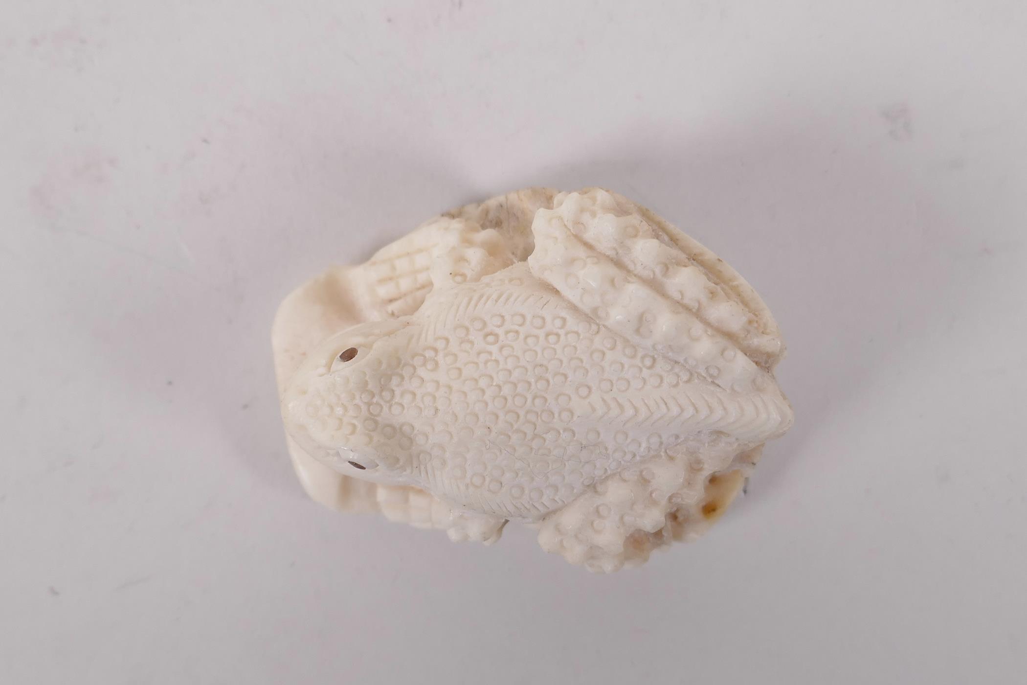 A carved bone netsuke in the form of a toad, 2" long - Image 7 of 7