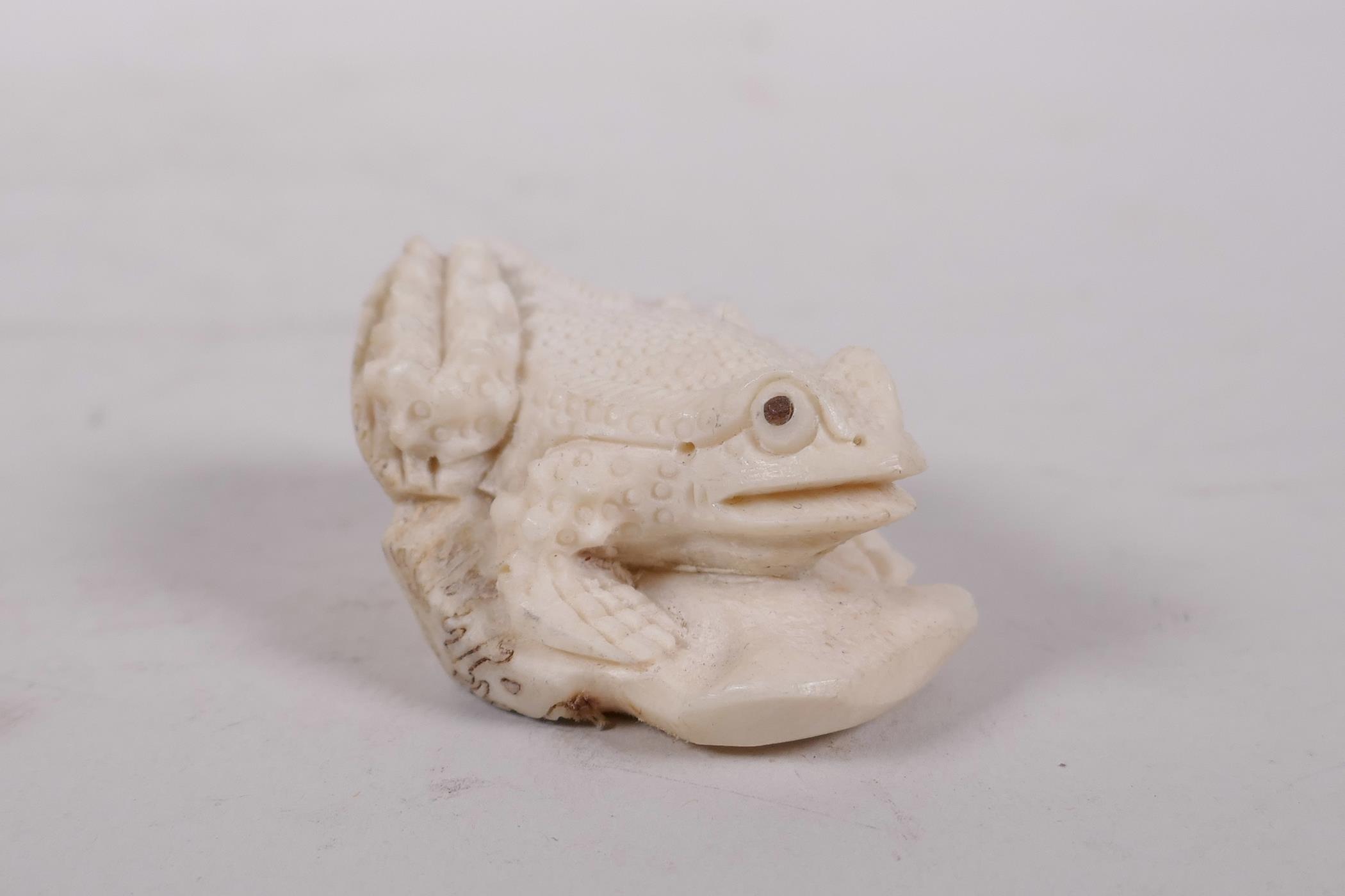 A carved bone netsuke in the form of a toad, 2" long - Image 2 of 7