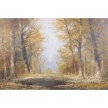 Autumnal woodland landscape, Continental, oil on canvas, 24" x 20"