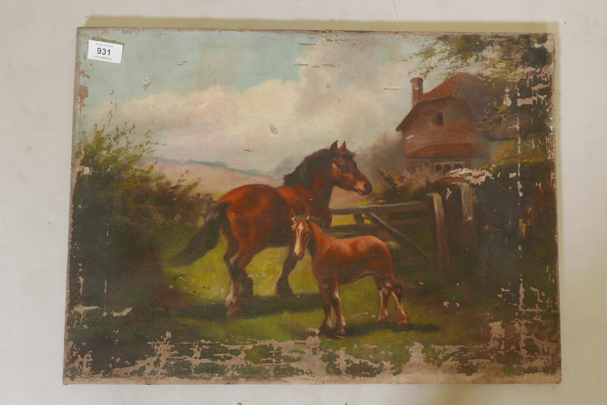 Mare and foal by a paddock gate, signed V.T. Grey, oil on canvas, A/F, 22" x 16" - Image 2 of 4