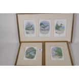 Five coloured prints of British birds after Archibald Thorburn, 'Common sandpiper', Kentish plover',