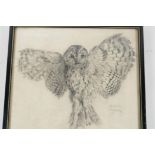 A. Hugh Fisher, a good pencil drawing of a hovering owl, signed, 10" square