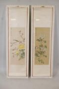 Two framed Chinese scrolls painted with birds and flowers, having inscriptions and red seal marks,