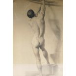 A C19th charcoal life study of a nude male reaching for a rope, signed and dated 1888, 22" x 30"