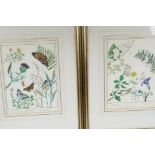 Elizabeth Harvey, pair of hand coloured engravings of butterflies and moths, 8" x 10½"