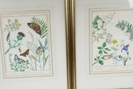 Elizabeth Harvey, pair of hand coloured engravings of butterflies and moths, 8" x 10½"