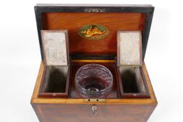 An early Regency (c.1820) Cuban mahogany two compartment tea caddy, the case crossbanded with