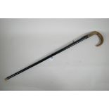 A late C19th/early C20th ebonised walking cane with horn handle and white metal mount, 32" long