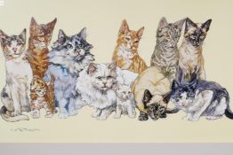 A framed and glazed colour print of cats, 20" x 13"