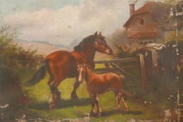 Mare and foal by a paddock gate, signed V.T. Grey, oil on canvas, A/F, 22" x 16"