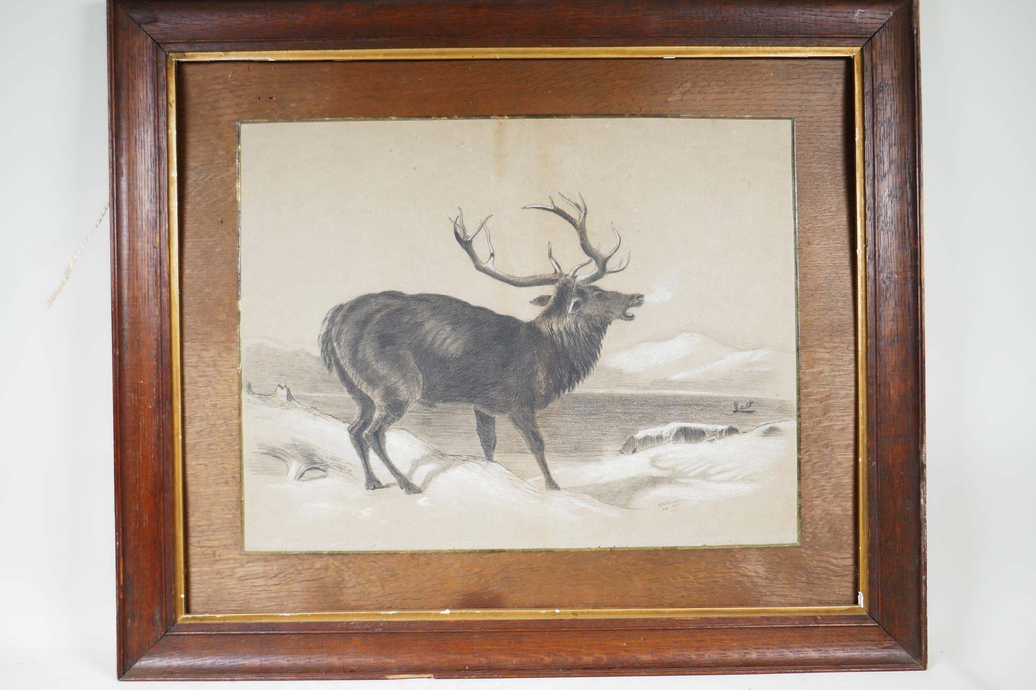 A charcoal and bodycolour drawing of a calling red deer stag beside a Highland loch, signed C.M. - Image 3 of 4