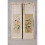 Two framed Chinese scrolls painted with birds and flowers, having inscriptions and red seal marks,