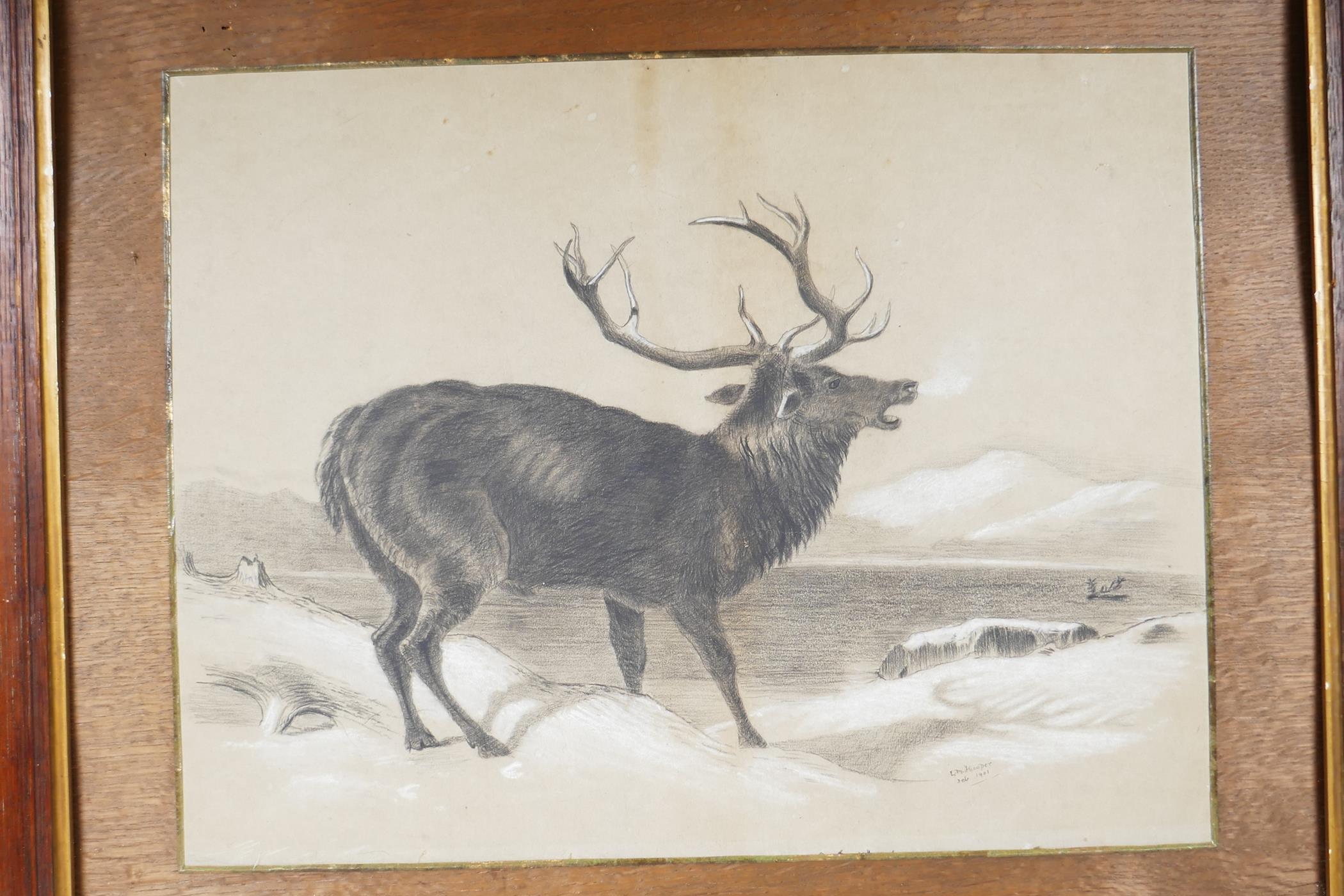 A charcoal and bodycolour drawing of a calling red deer stag beside a Highland loch, signed C.M. - Image 2 of 4